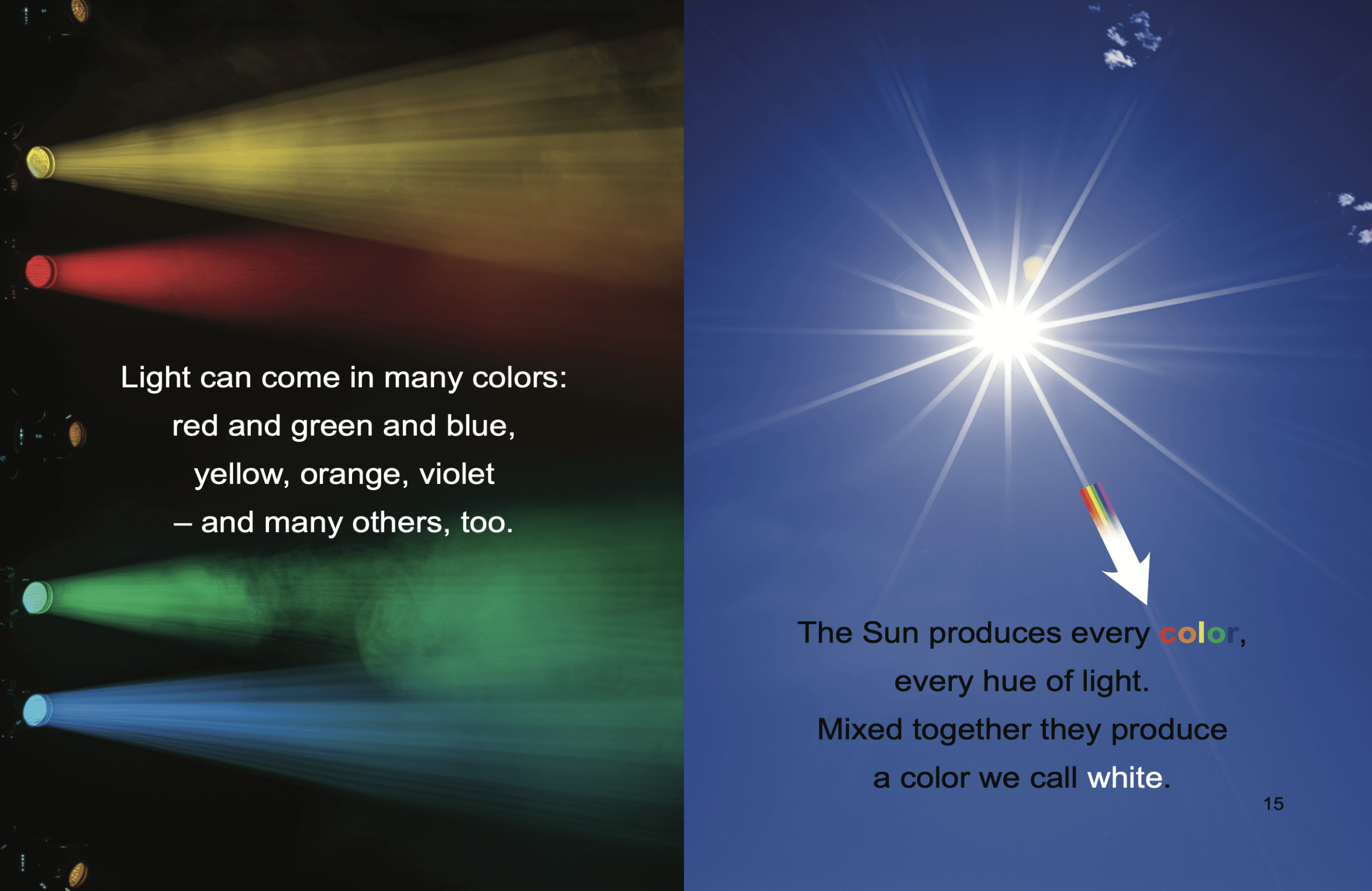 Rhyme & Reason: How Do We See? - Image 2