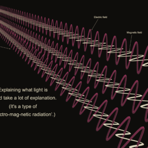 Rhyme & Reason: How Do We See? - Image 3
