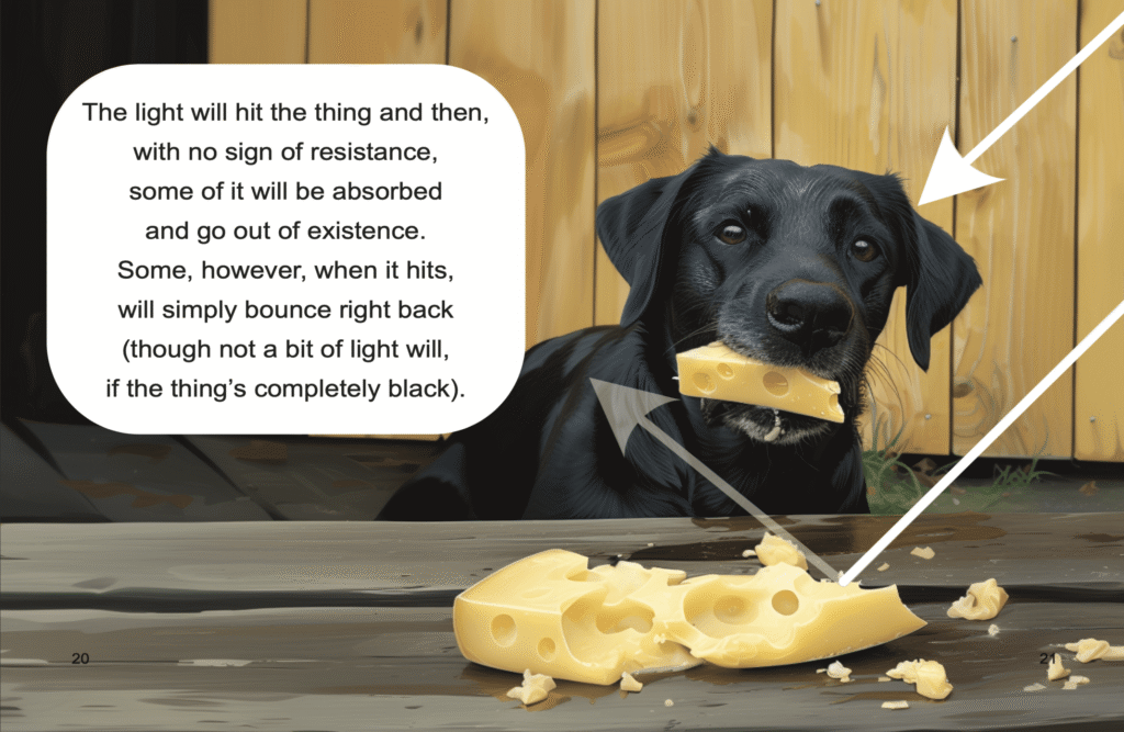 Rhyme & Reason: How Do We See?