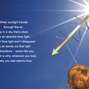 Rhyme & Reason: How Do We See? - Image 5